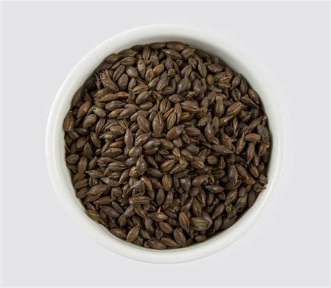 roasted malted barley
